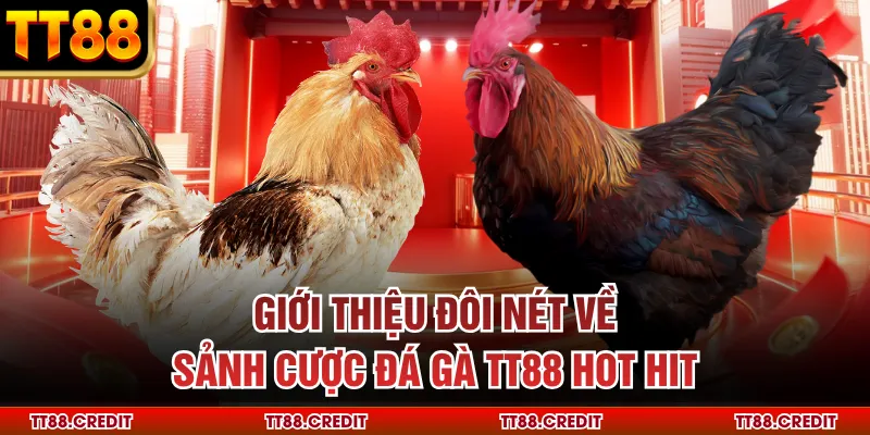 Giới thiệu đôi nét về sảnh cược đá gà TT88 hot hit